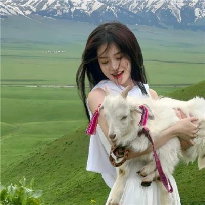 蒲公英的灰尘